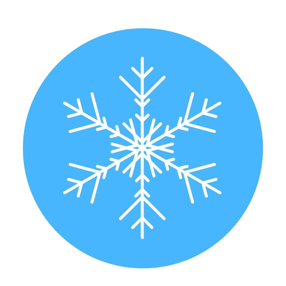 Vector  winter snowflake icon. illustration for web