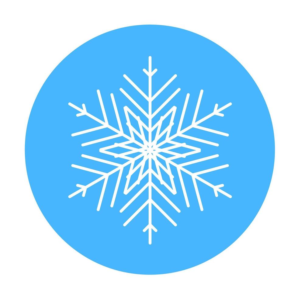 Vector  winter snowflake icon. illustration for web