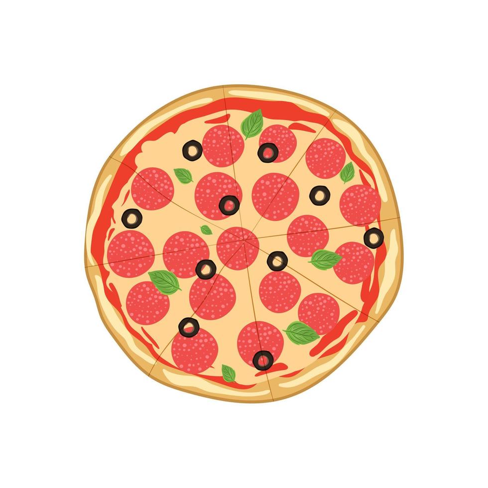 Salami pizza isolated on the white background. Vector illustration