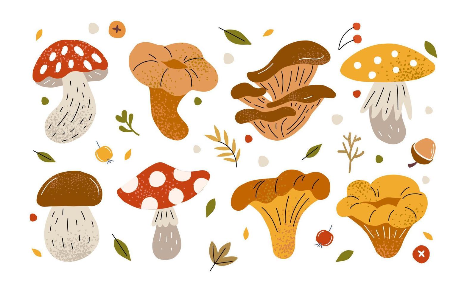 Big autumn set with mushrooms. Mushrooms are different forest. Chanterelles and fly agaric. Edible and poisonous mushrooms. Gribovnitsa and autumn recipe vector