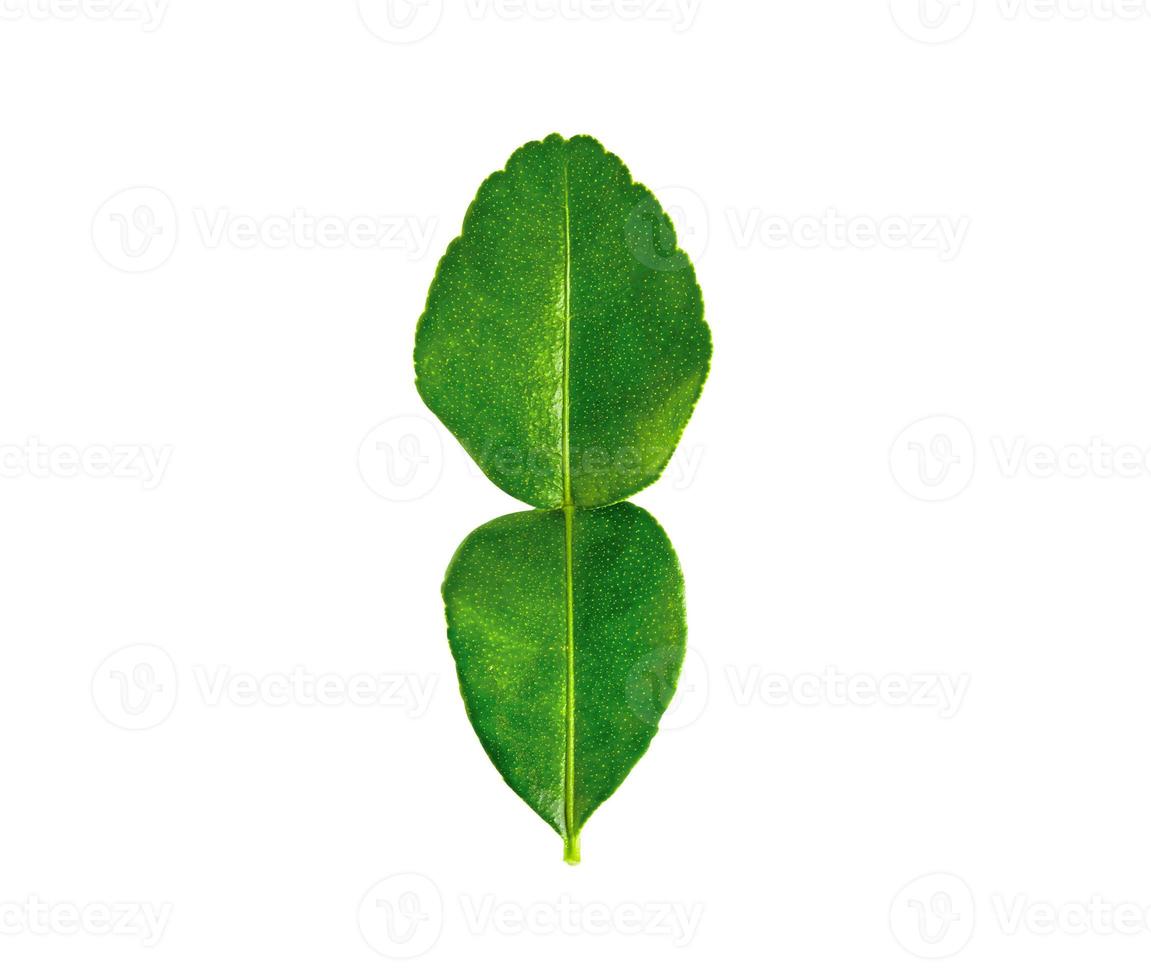 Fresh bergamot green leaf organic herb isolated on white background with clipping path. photo
