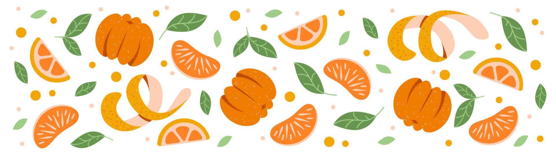 banner ecológico horizontal con cítricos. mandarinas, naranjas. fondo para jugo de naranja o mermelada vector