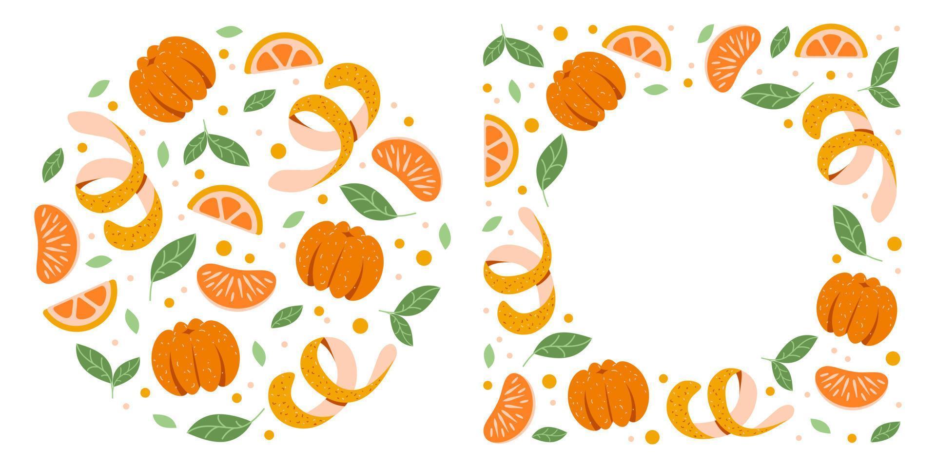 un conjunto de plantillas hechas de mandarinas y naranjas. círculo de cítricos y un marco para el diseño. mandarina pelada y rebanadas vector