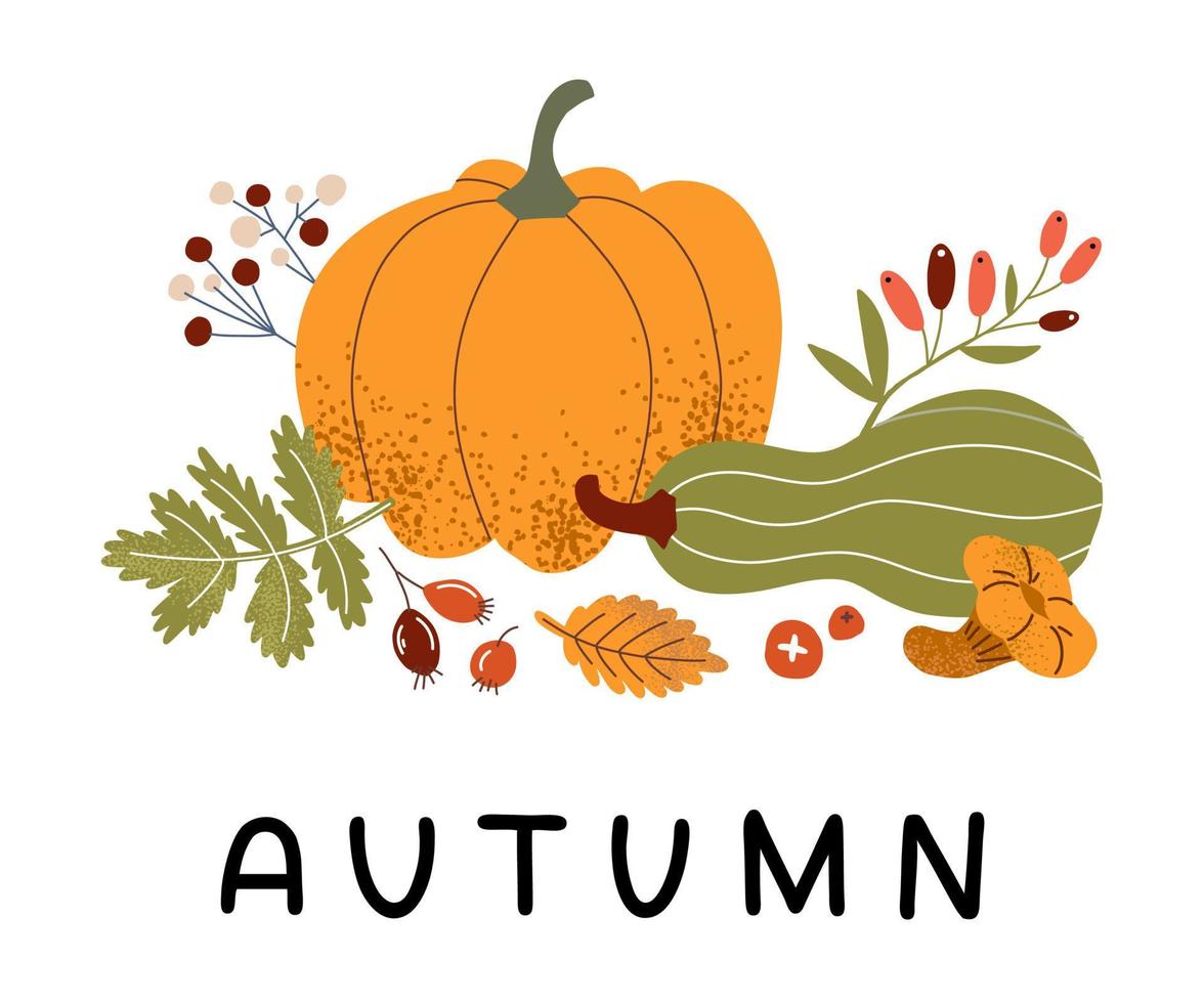 cosecha de otoño, hojas amarillas, bayas y champiñones. calabaza naranja, calabaza verde y calabaza. otoño. vector