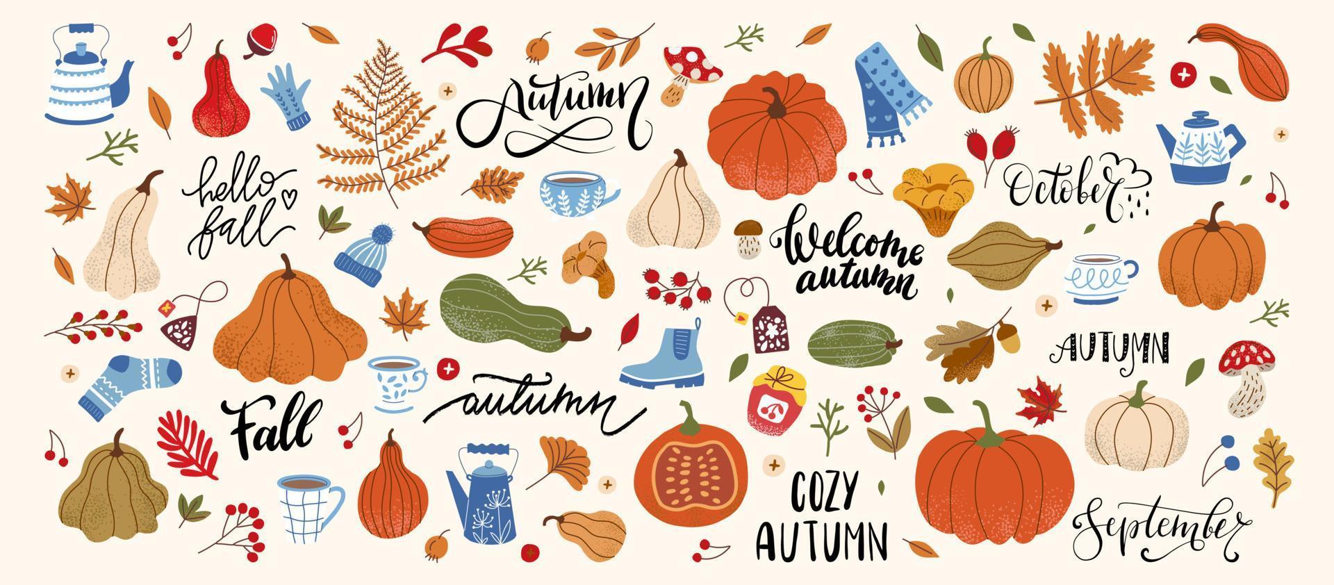 A large set with autumn oral leaves, pumpkin, sweater, tea and gloves. Leaf Fall, Mug, Pumpkin, Squash and Lettering Fall vector