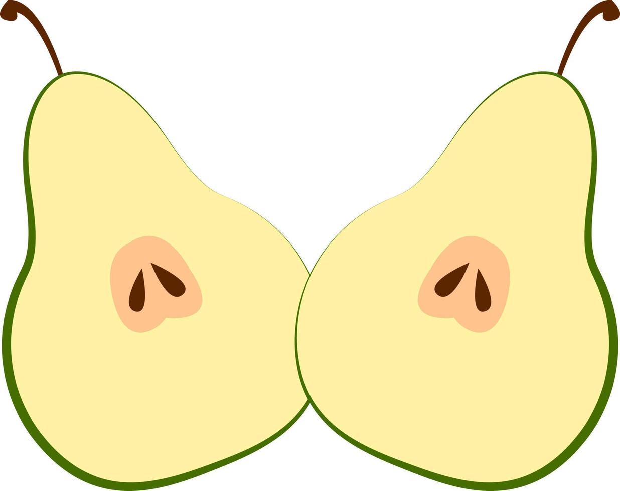 Half pear, illustration, vector on white background.