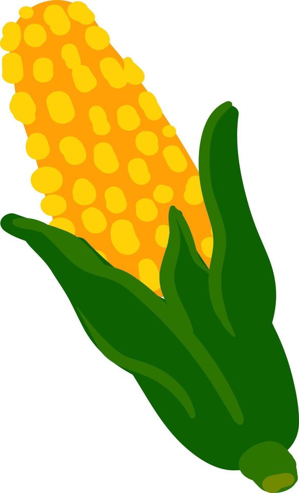 Flat yellow corn, illustration, vector on white background.