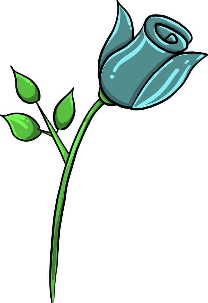 Blue rose , illustration, vector on white background