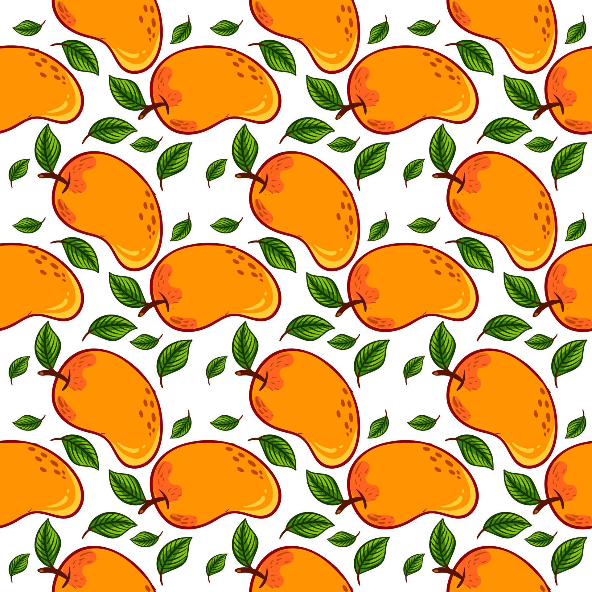 Mango pattern, seamless pattern on white background. 13673516 Vector