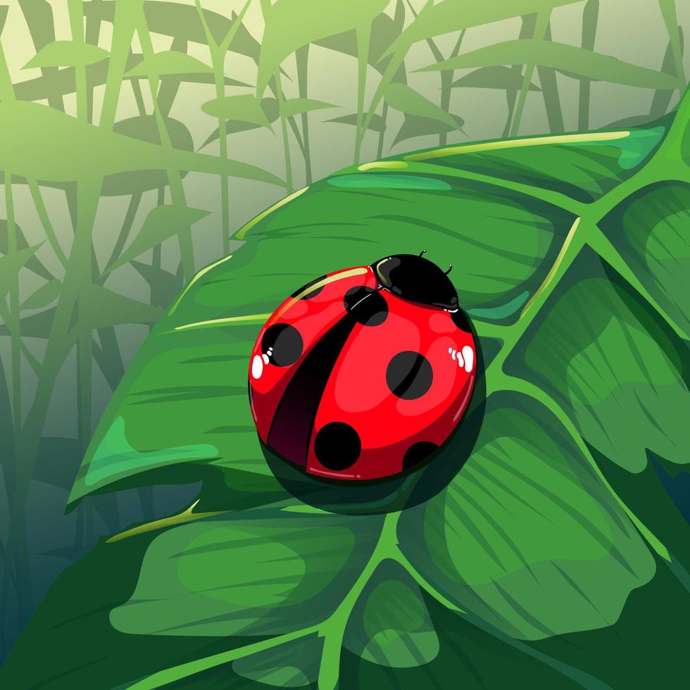 ladybug on green leaf vector illustration