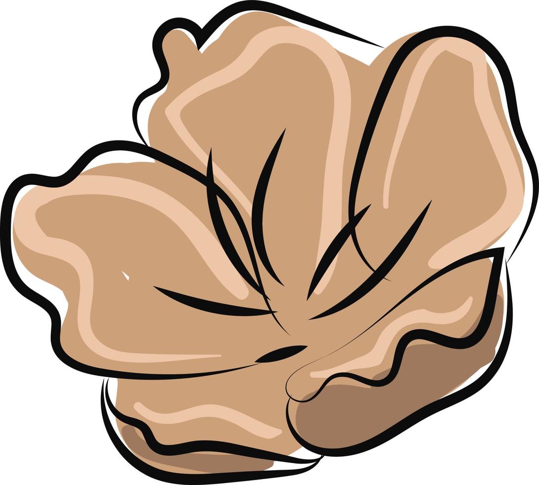 Flower head, illustration, vector on white background.