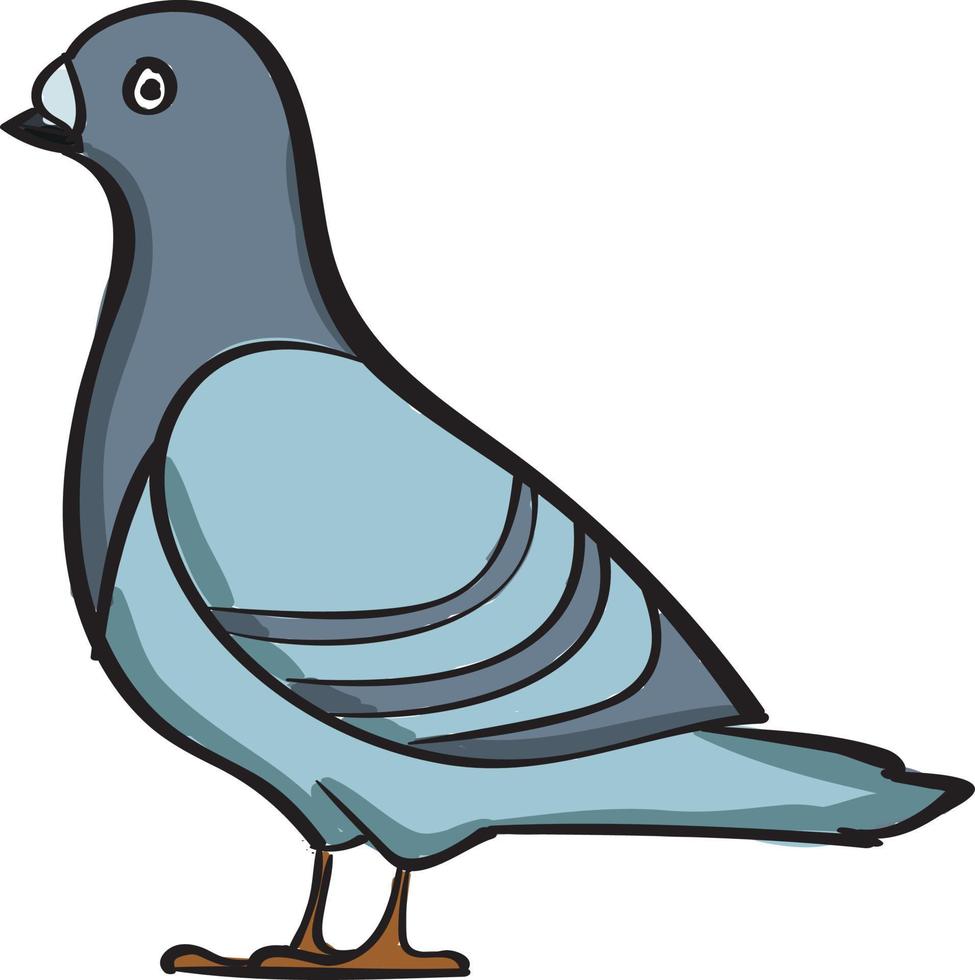 Dove standing, illustration, vector on white background.