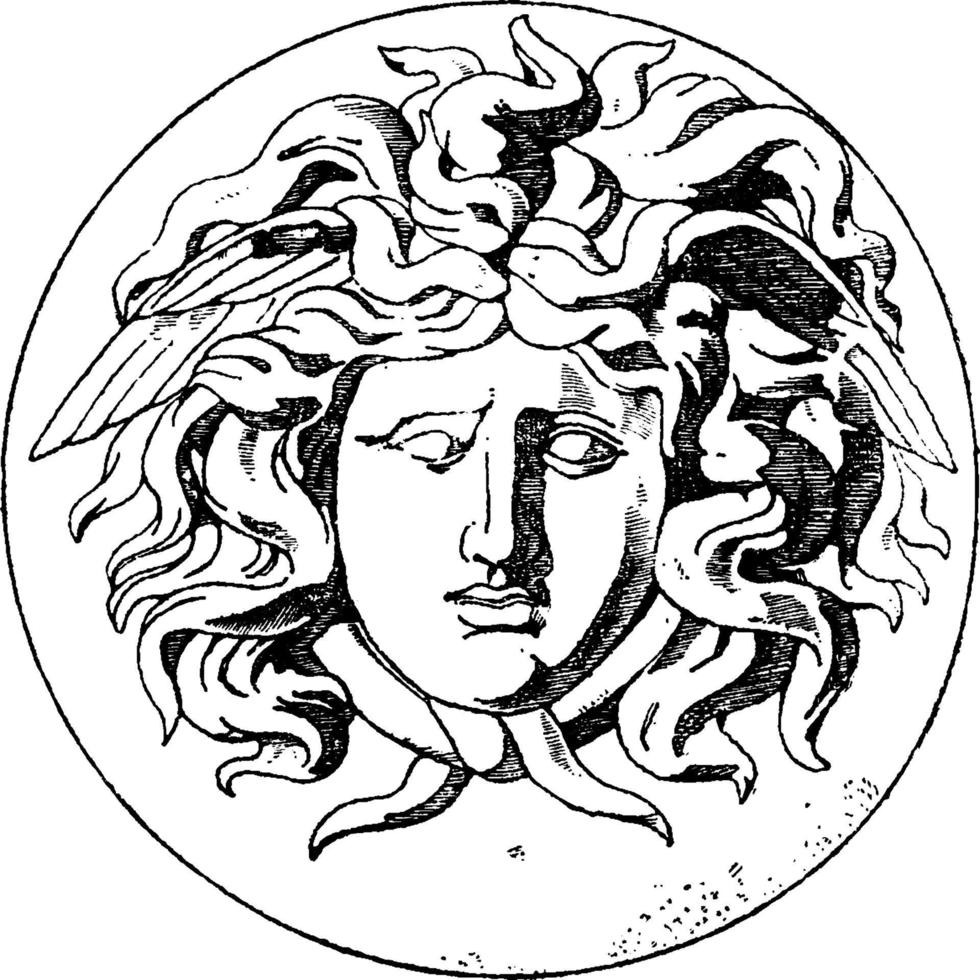 Medusa Head vintage illustration. vector