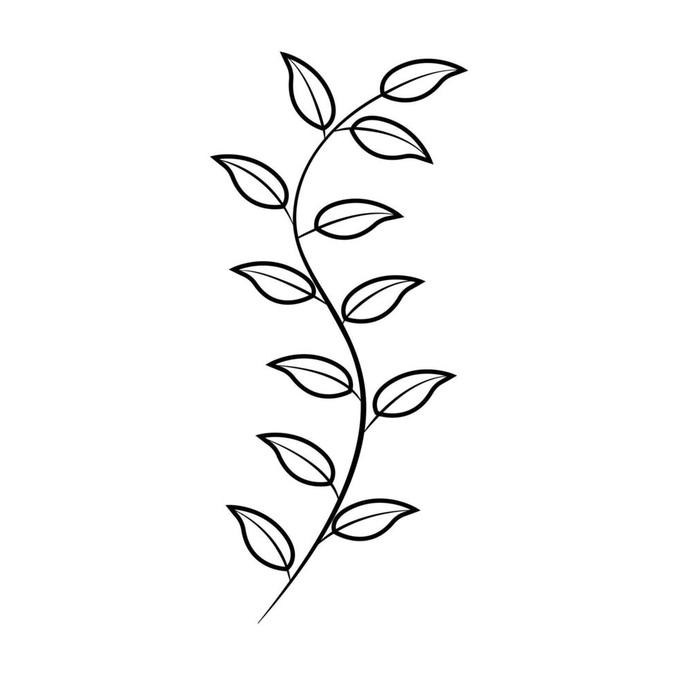Floral set of hand drawn botanic elements. Vector