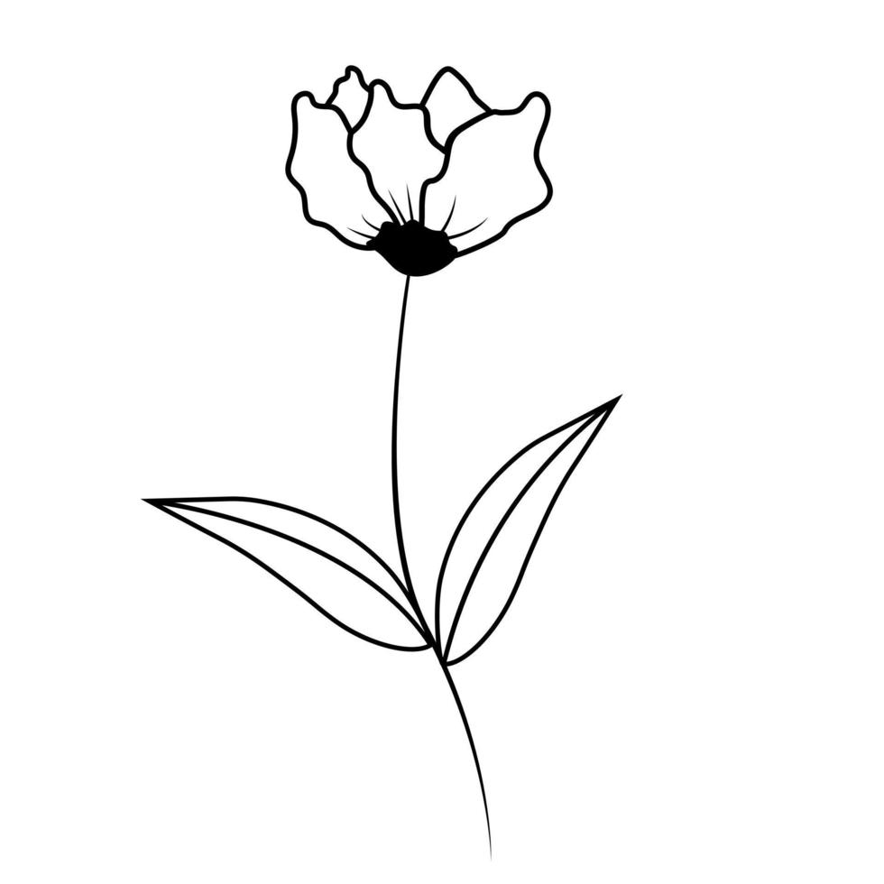 conjunto floral de elementos botánicos dibujados a mano. vector
