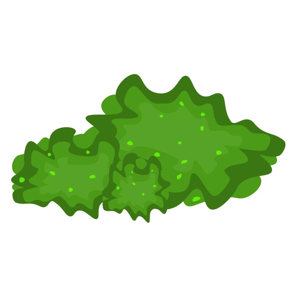Green bush in cartoon style. Shrub green garden hedge. Summer landscape nature. Colorful vector illustration isolated on white background.