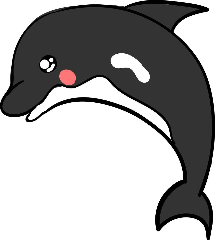 Cute killer whale, illustration, vector on white background.