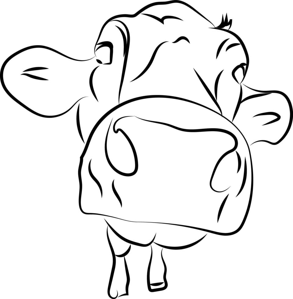 Cow head sketch, illustration, vector on white background.