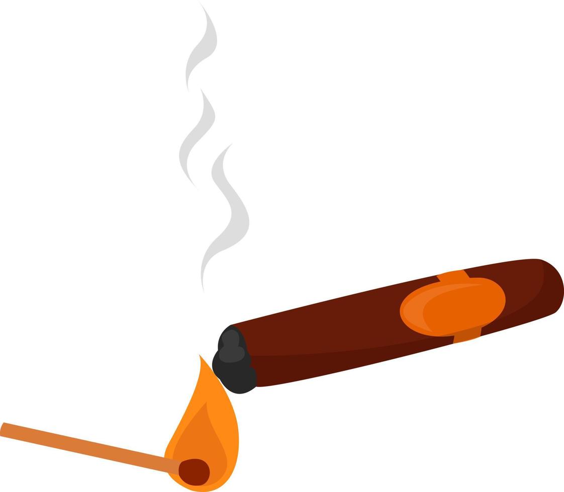 Cigar and a match,illustration,vector on white background vector