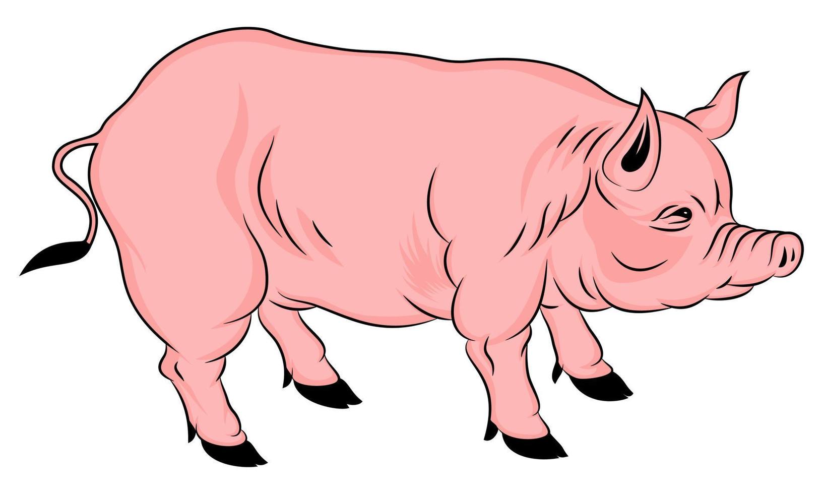 Farming Pig Vector Illustration - Farm, Domestic Animal Pig