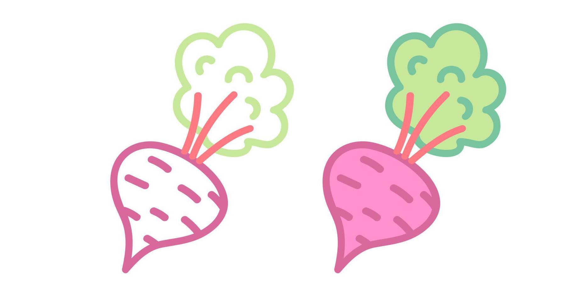 Vector set icons of beet. Vector illustration of beet. Hand drawing vegetables.