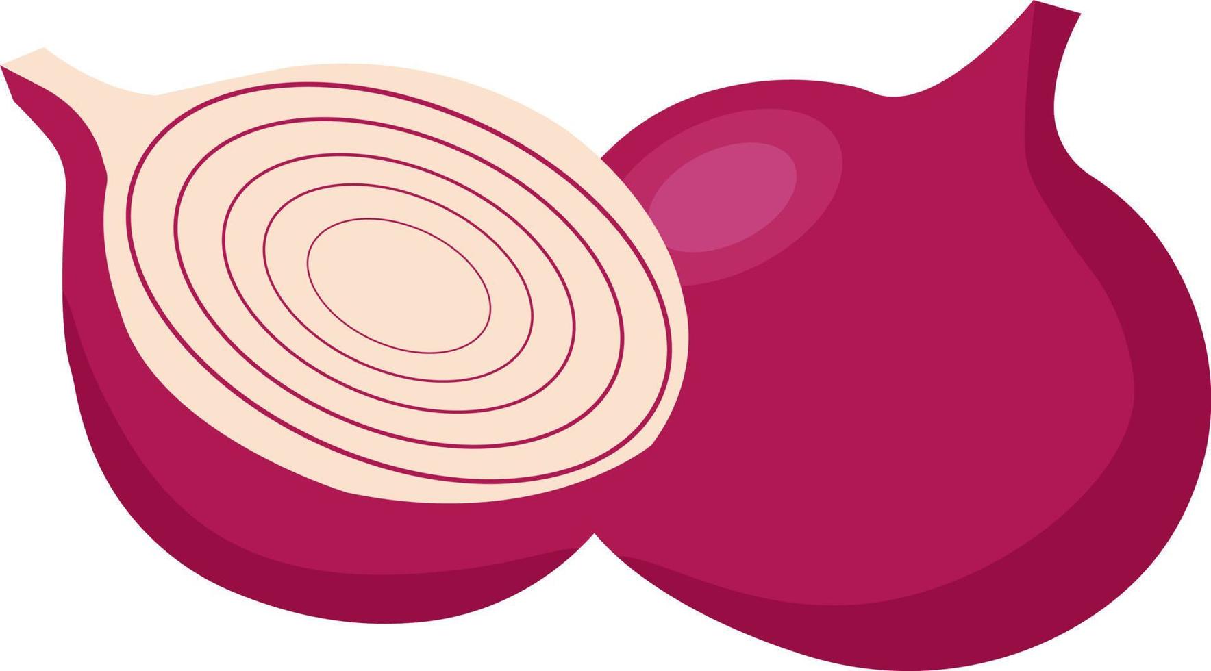 Red onion, illustration, vector on white background.
