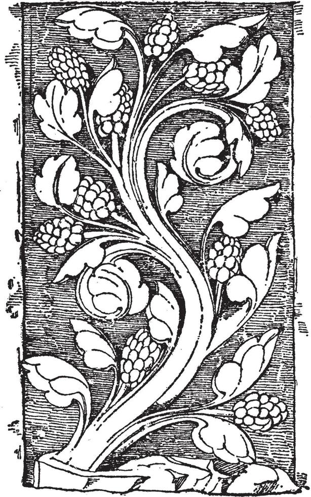Early Gothic Ornament Vine was a design found in Notre Dame, vintage engraving. vector