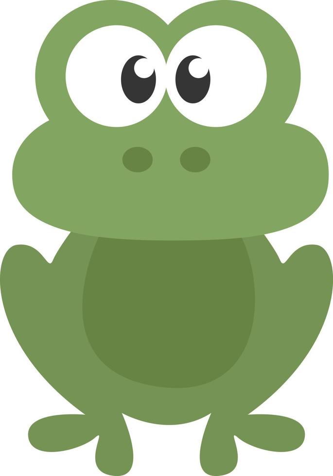 Green frog, illustration, vector, on a white background. vector