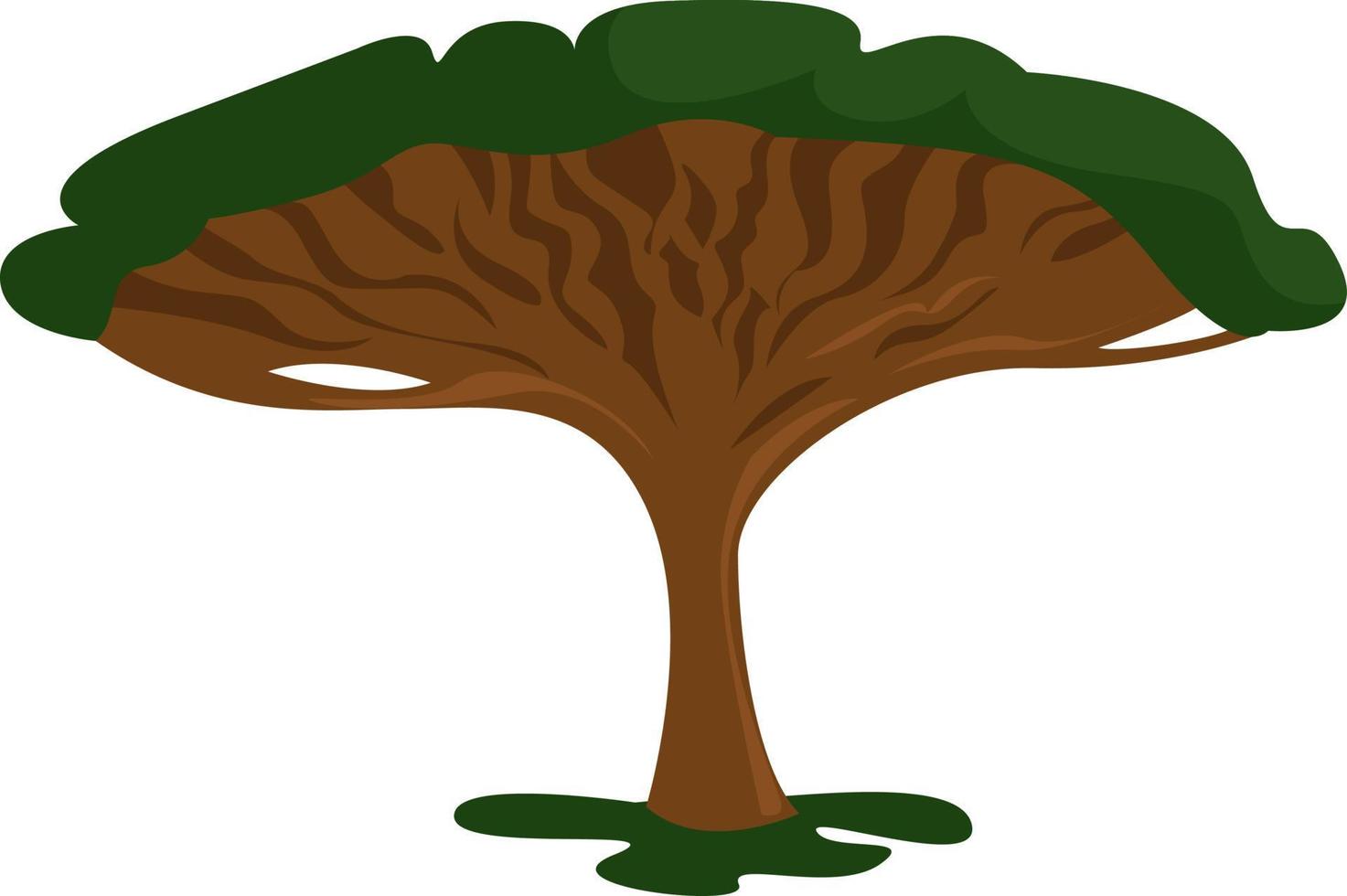 Dragon tree, illustration, vector on white background