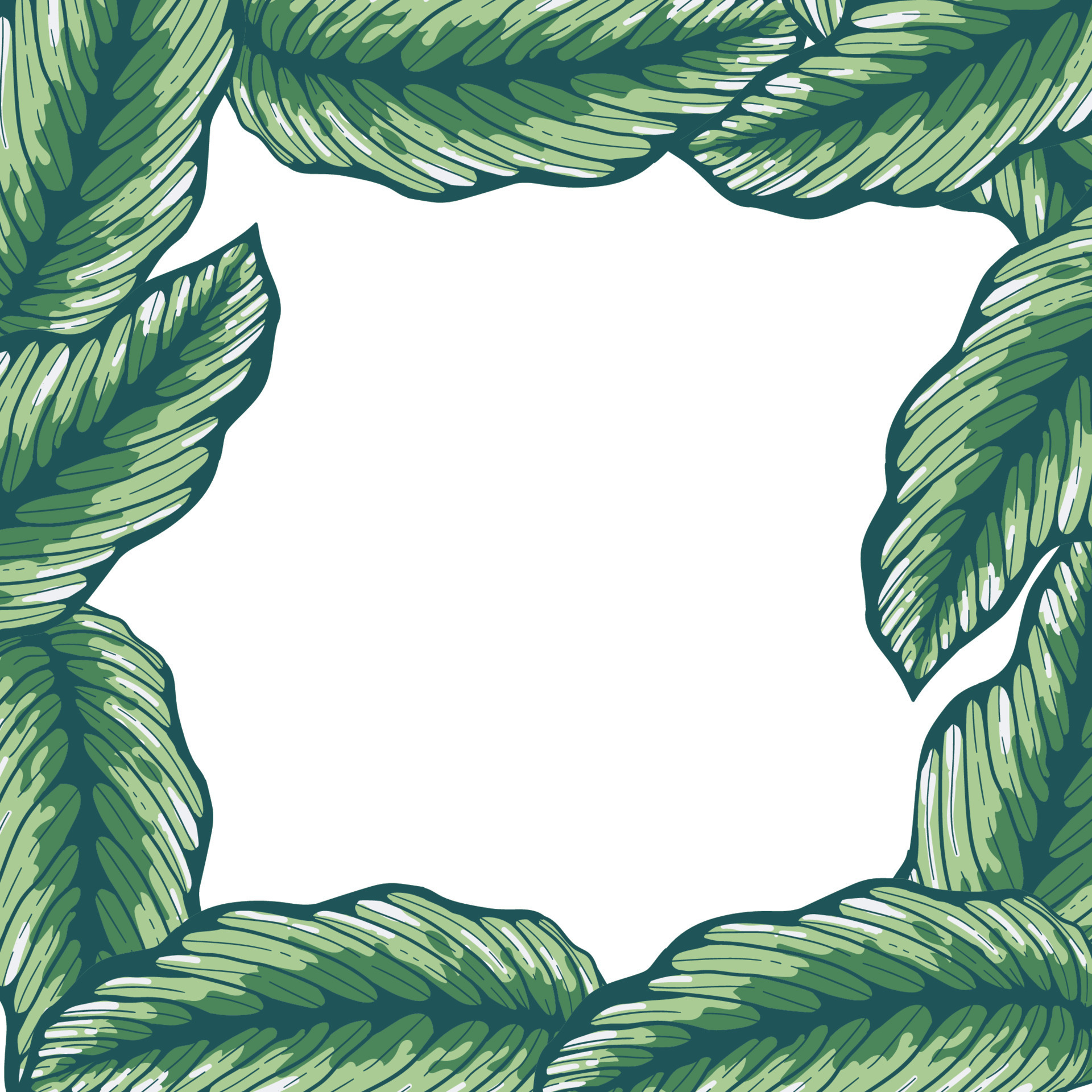 Hand drawn color tropical banner with jungle leaves. Exotic leaves