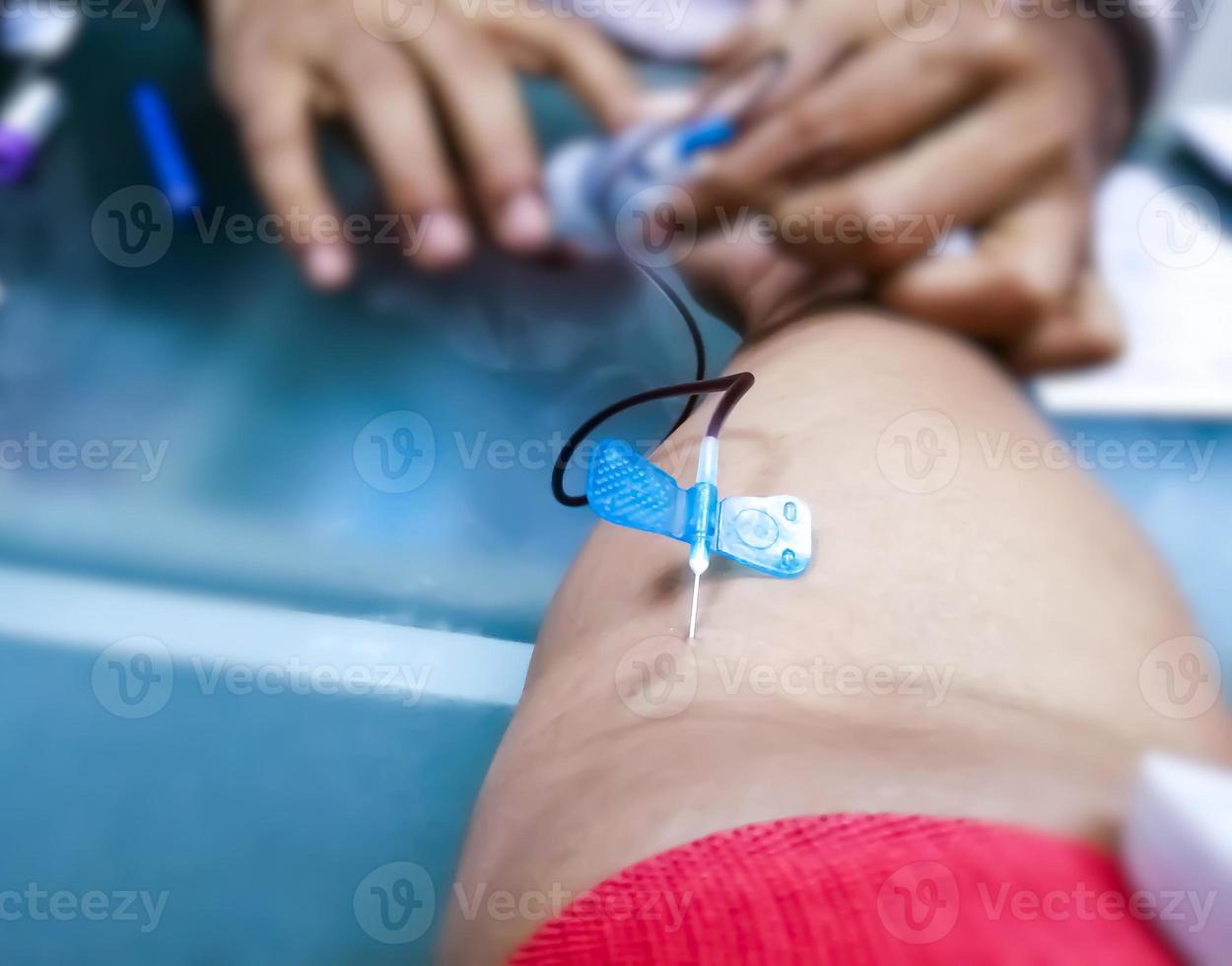 Phlebotomist detecting median cubital vein or cephalic vein to place needle for collecting blood in hospital. photo