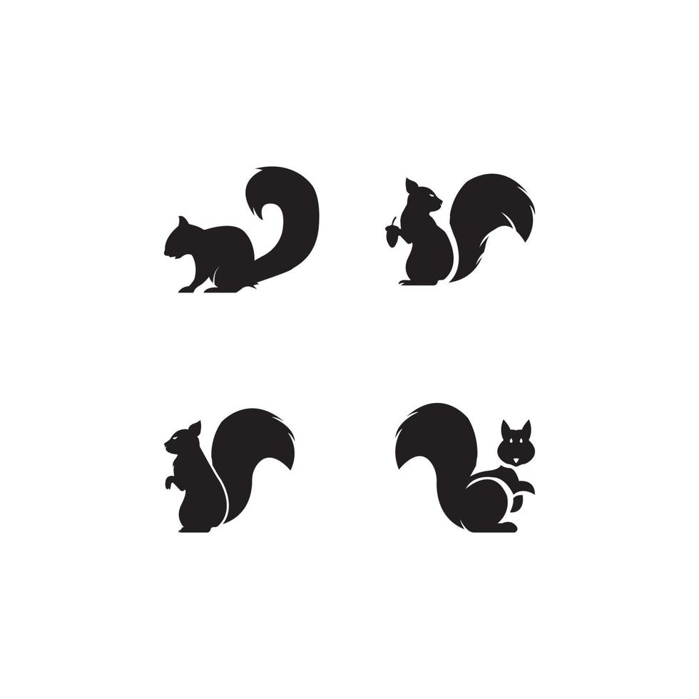 squirrel logo vector icon illustration