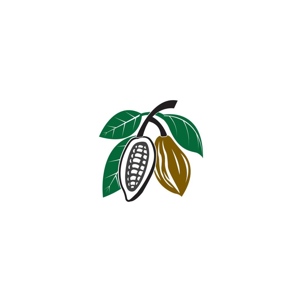 cacao, icono de vector de logotipo de cacao