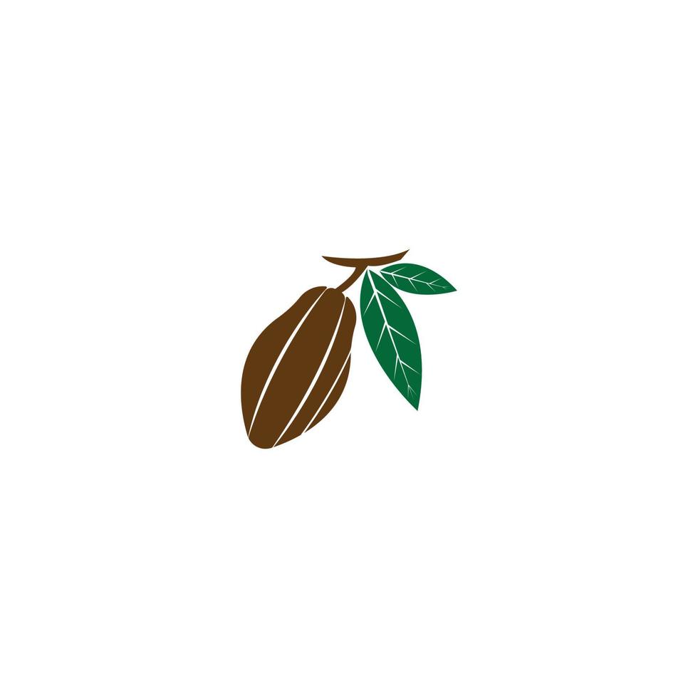 Cacao, cocoa logo vector icon