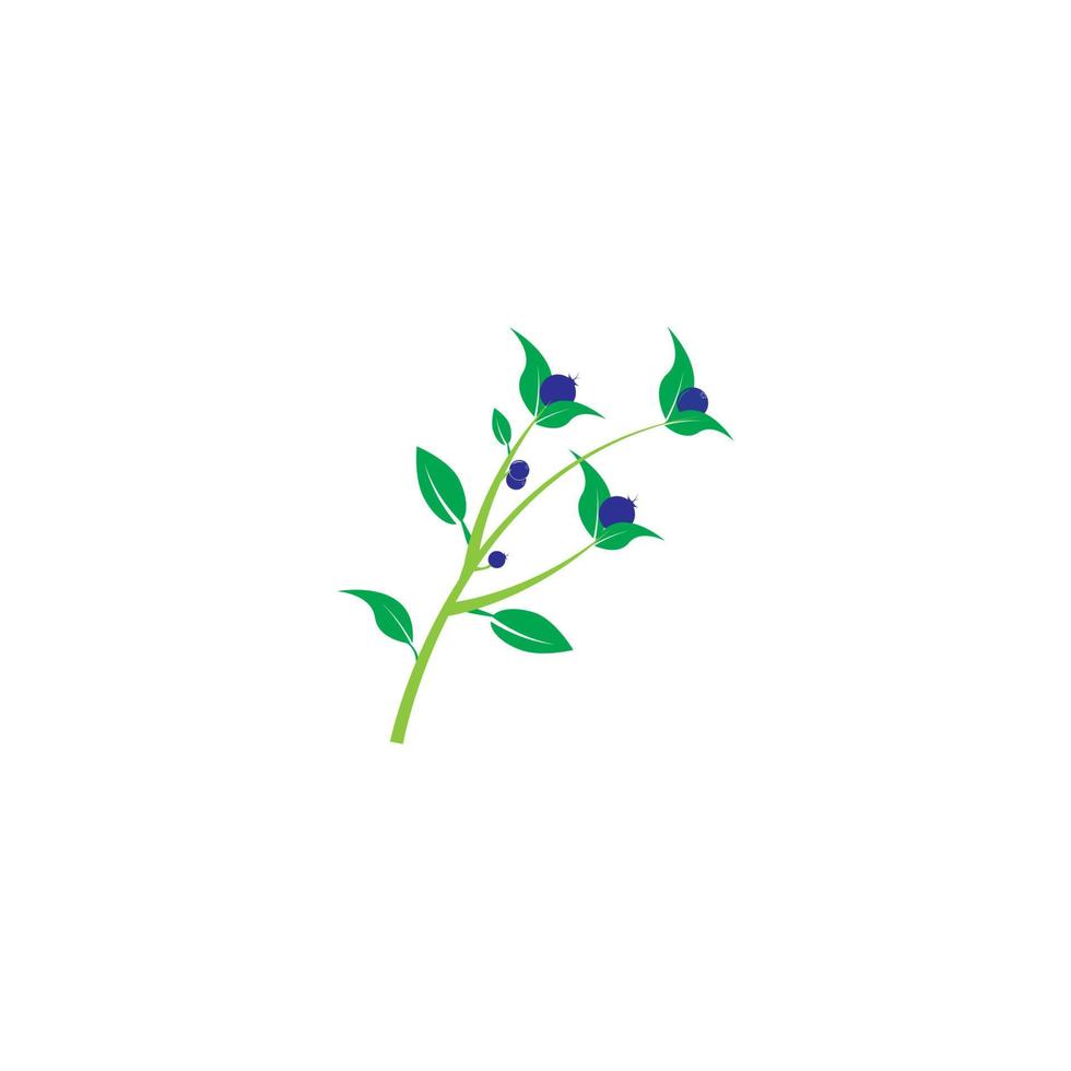 Blueberry logo vector template icon