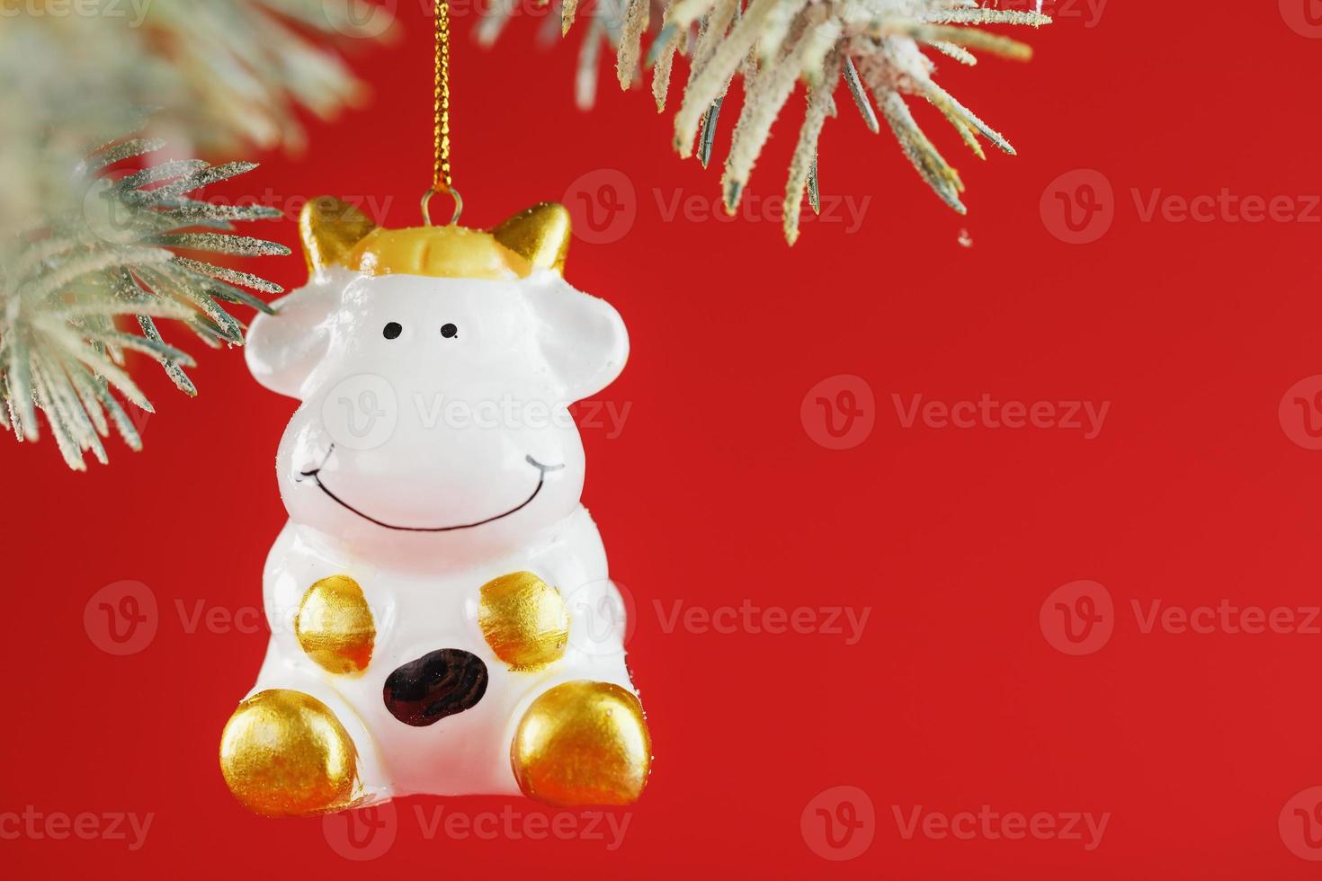 white ox, red candle and Christmas tree branch on a red background, a bull as a symbol photo