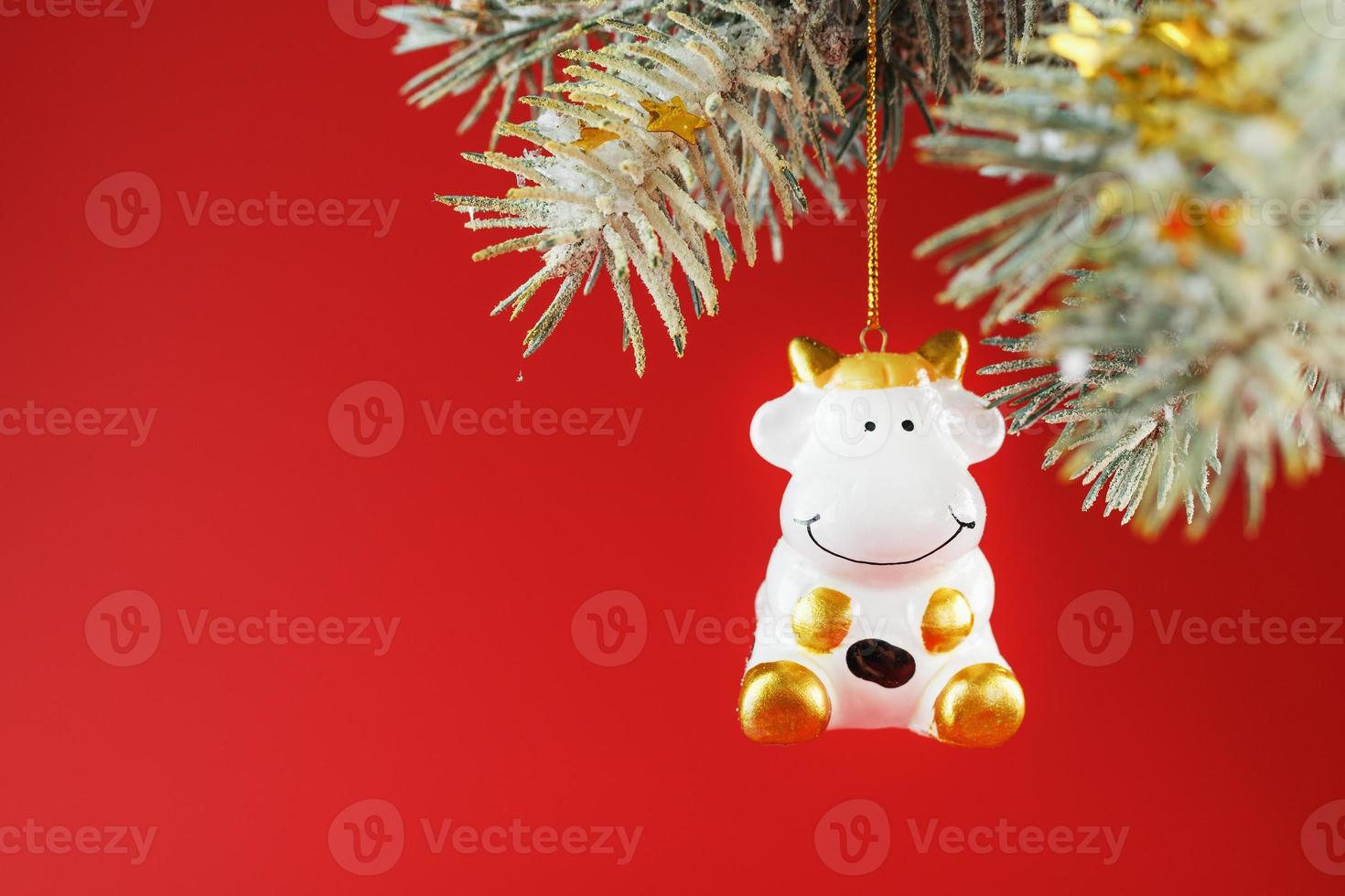 A figurine of a cow on a Christmas card on a red background, free space for text. photo