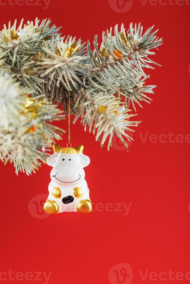 A figurine of a cow on a Christmas card on a red background, free space for text. photo