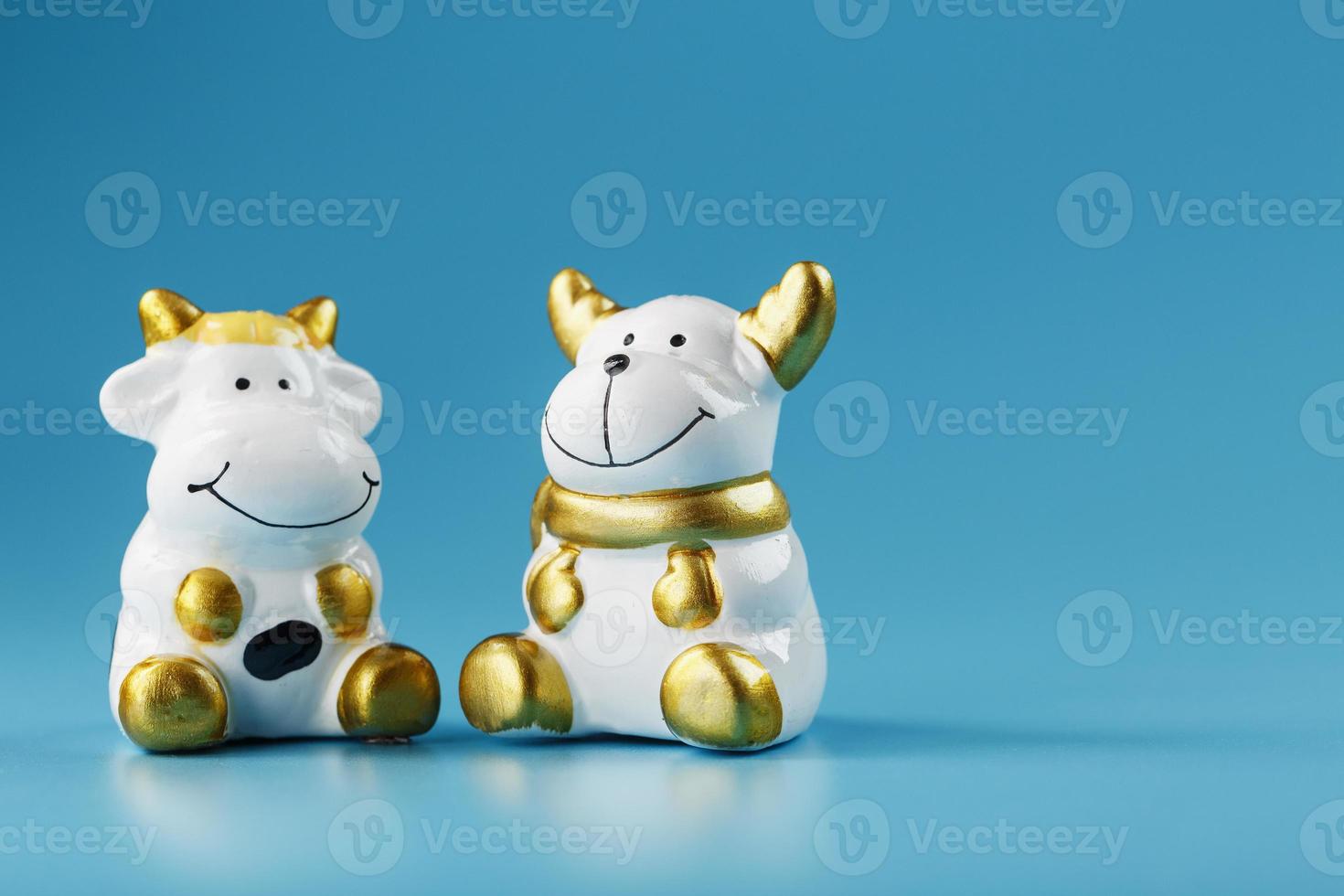 A pair of cow and bull figures on a blue background, with free space. photo