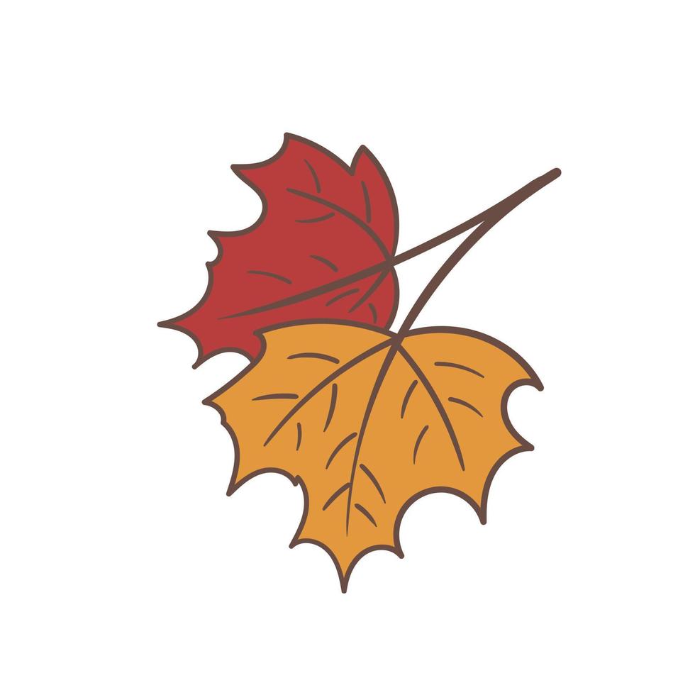 Vector illustration of two maple leaves. Red and yellow. Hand drawn icon and logo design