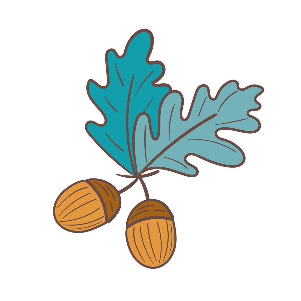 Two acorns isolated on white background. Autumn oak seeds. Simple hand drawn vector illustration icon