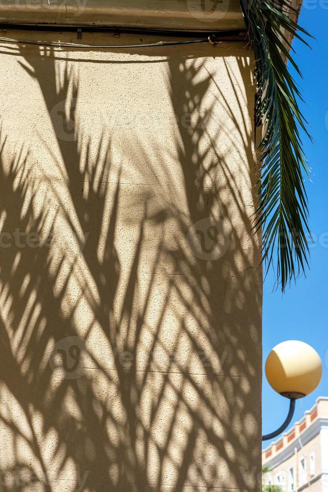 sombra de hojas de palma en una esquina de una pared beige foto