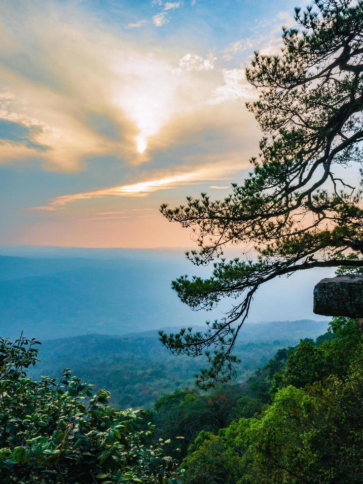Beautiful Sunset of Lomsak Cliff on Phu Kradueng mountain national park in Loei City Thailand.Phu Kradueng mountain national park the famous Travel destination photo
