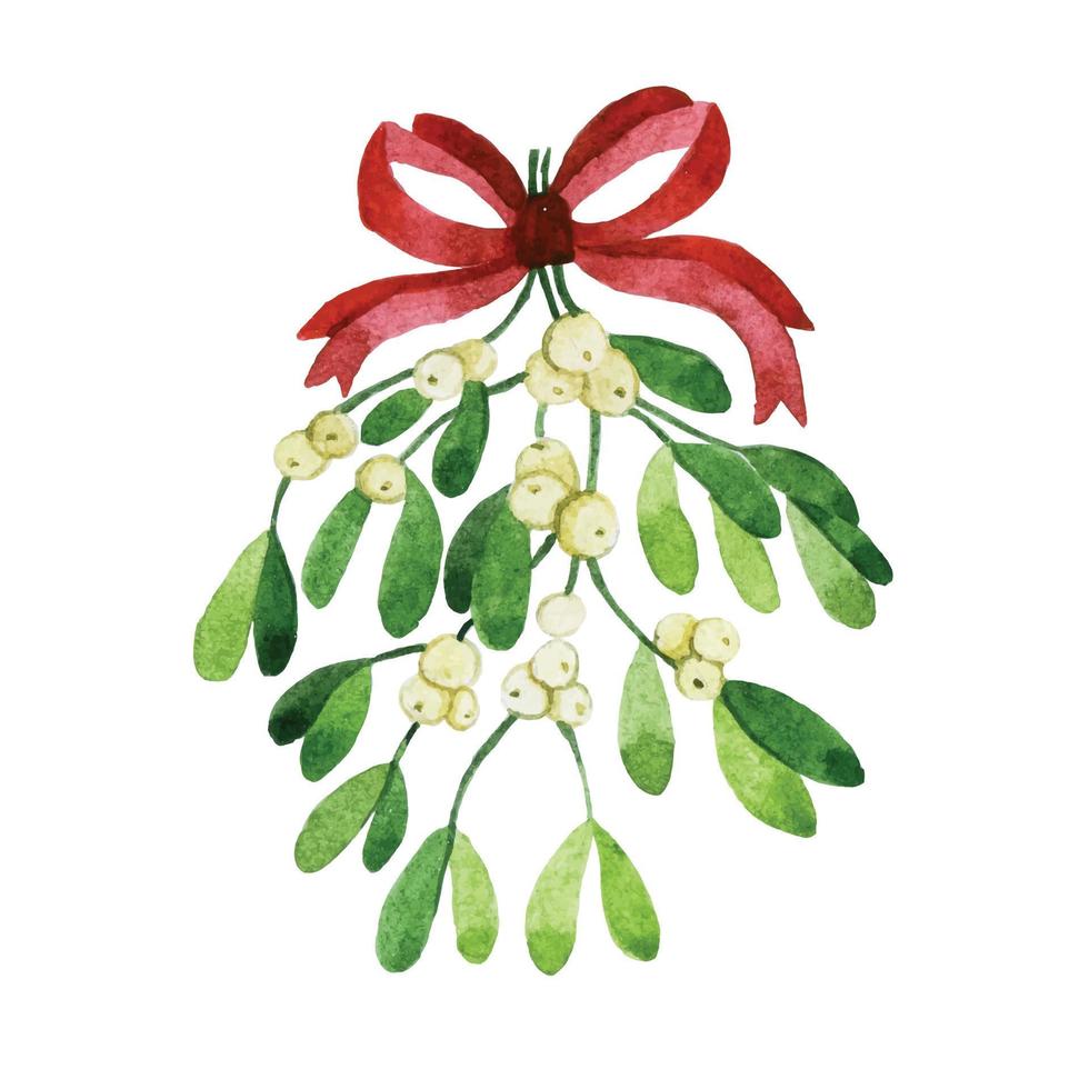 watercolor drawing. mistletoe christmas decoration. mistletoe garland vector