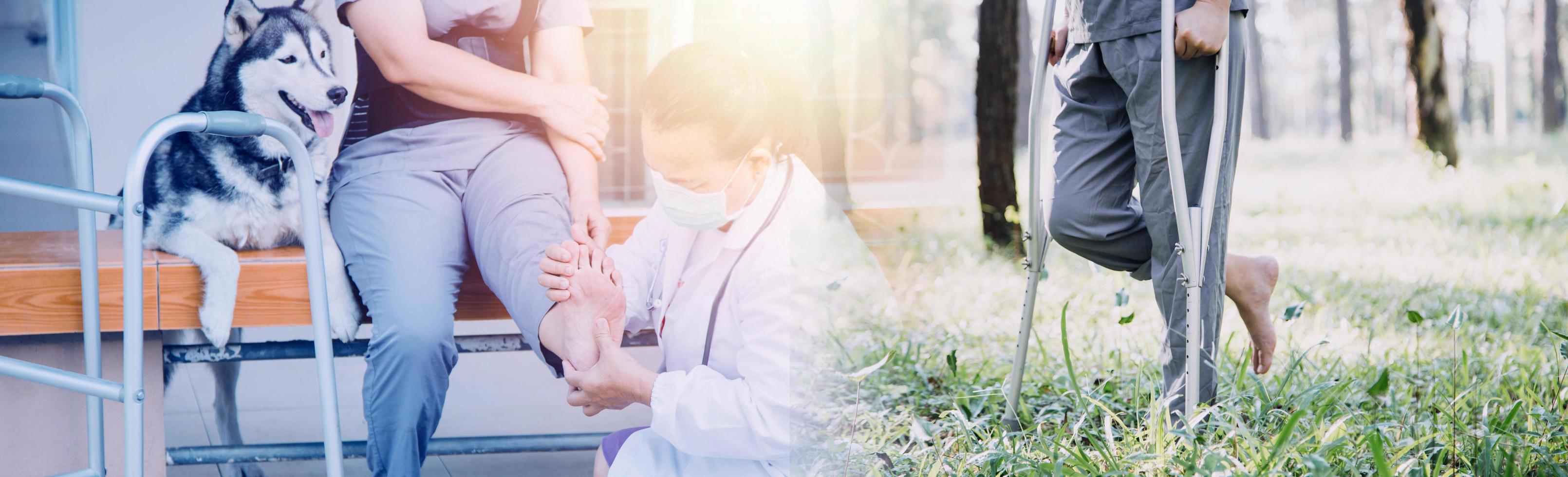 young asian physical therapist working with senior woman on walking with a walker photo