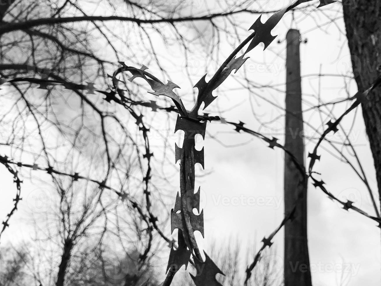 Iron metal sharp dangerous protective barbed wire on the fence with spikes and stakes against the sky photo