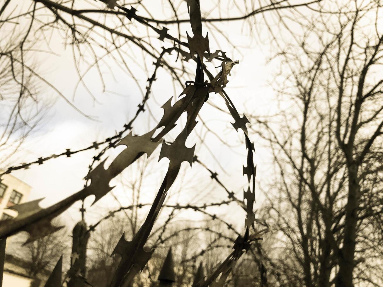 Iron metal sharp dangerous protective barbed wire on the fence with spikes and stakes against the sky photo