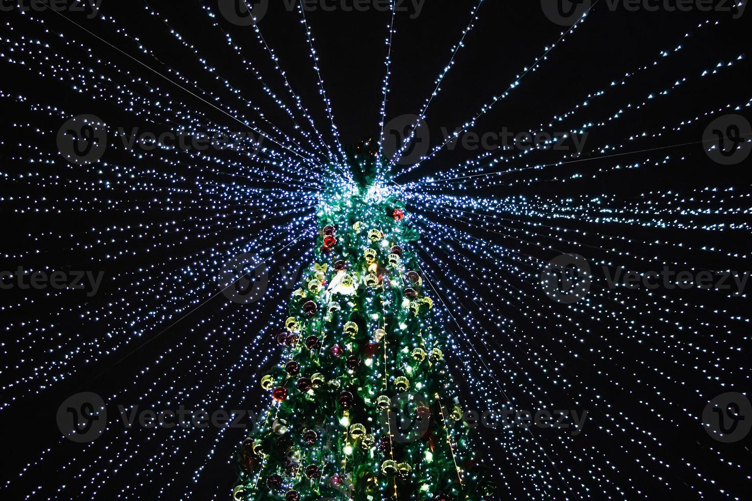 Bottom view of Christmas tree with beautiful lights. New Year decoration. photo