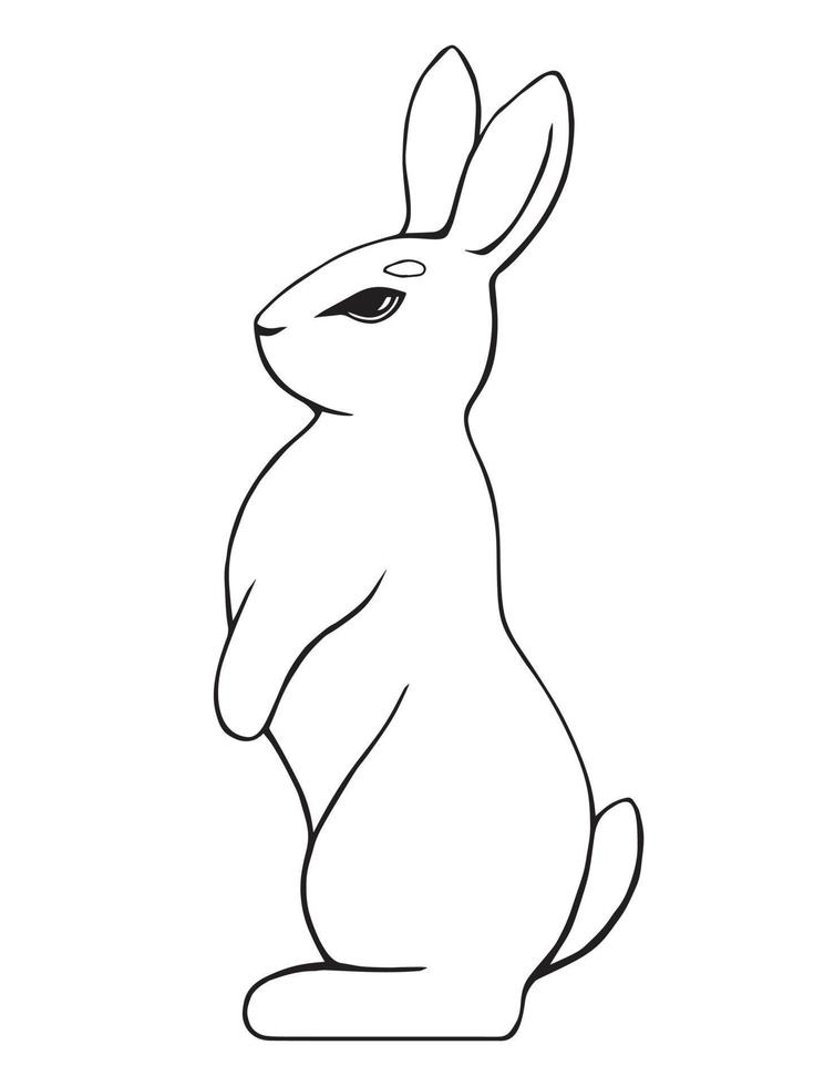 Line drawn rabbit stands on its hind legs. Vector black and white illustration.