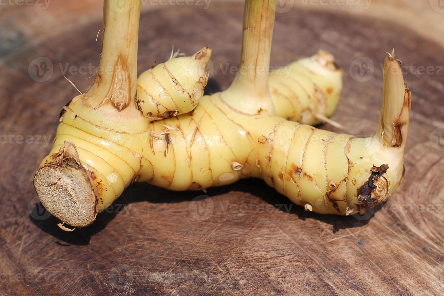 Galanga on wooden background photo